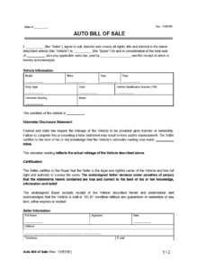 Auto Bill of Sale Example Form