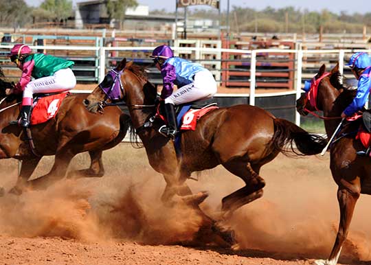 horses racing on a track