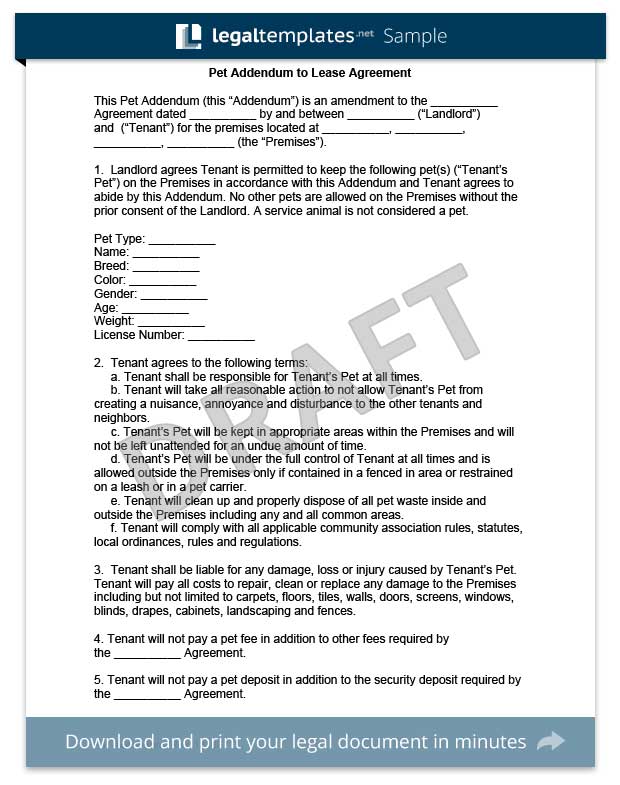 addendum pet template agreement lease form legal templates