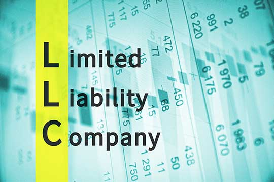 LLC Ledger