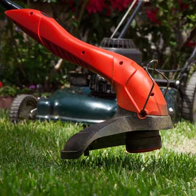 How to start a lawn care or landscaping business