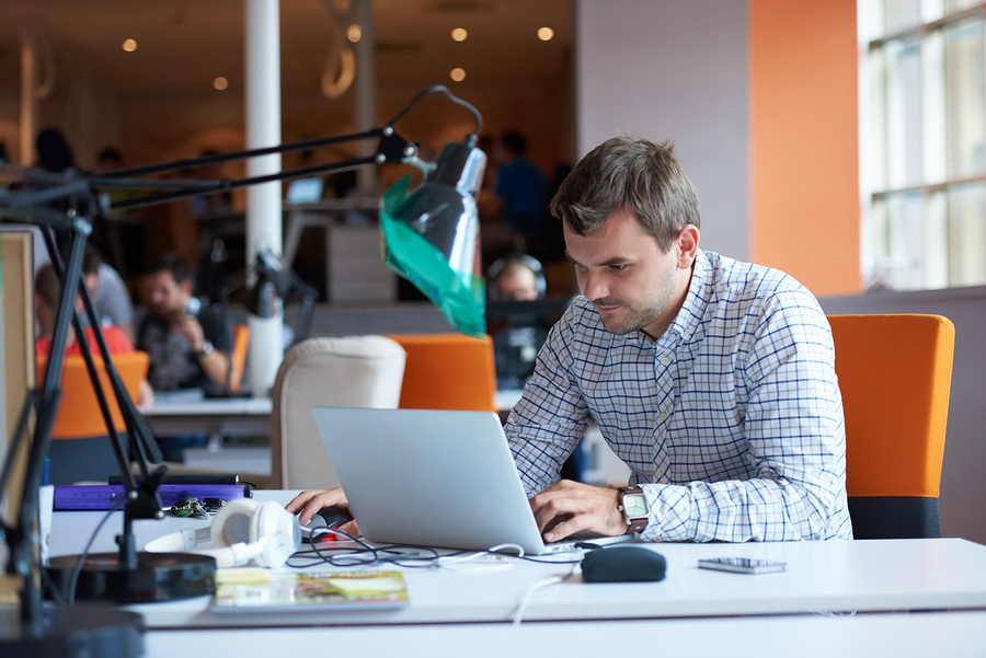 Startup business owner considers an EULA