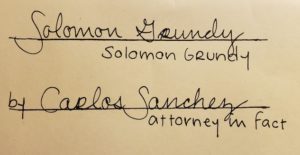power of attorney signature sample