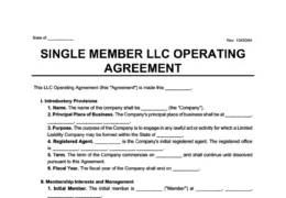single member llc operating agreement template
