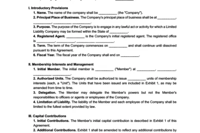 single member llc operating agreement template