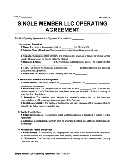 single member llc operating agreement template