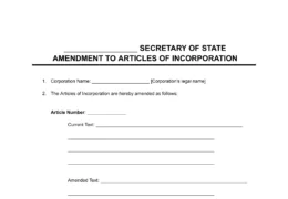 amendment to articles of incorporation form