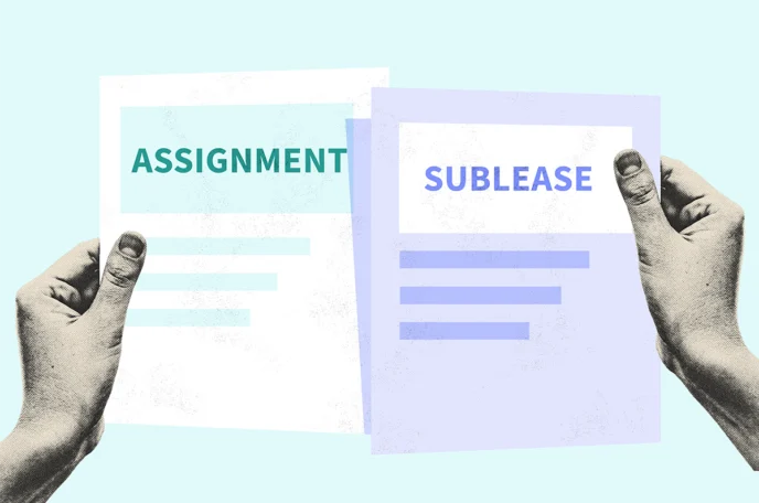 Person holding a lease assignment and sublease to compare the differences between the two documents
