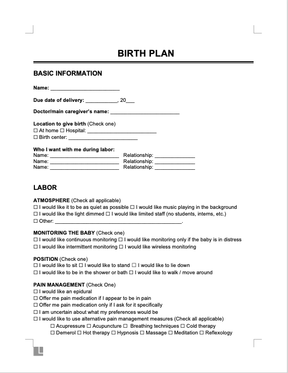 Birth Plan Template screenshot
