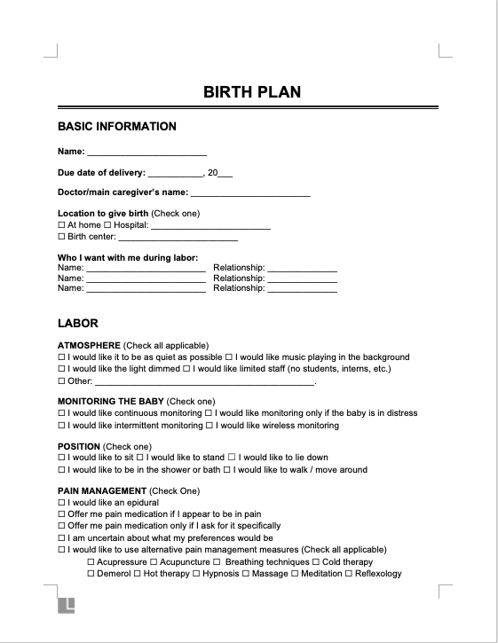 free-11-sample-birth-plan-templates-in-pdf-ms-word-reverasite