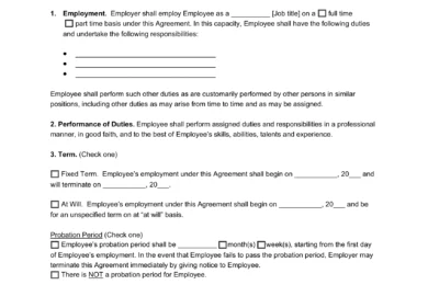 California Employment Contract Template