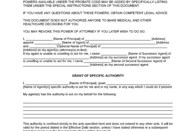 California Limited Power of Attorney Form