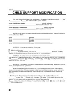 Child Support Modification Form