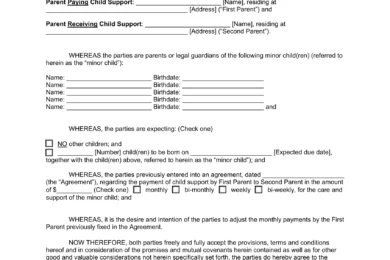 Child Support Modification Form