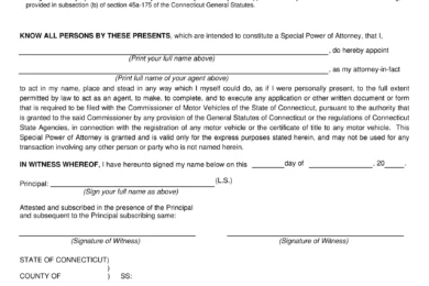 Connecticut Motor Vehicle Power of Attorney Form