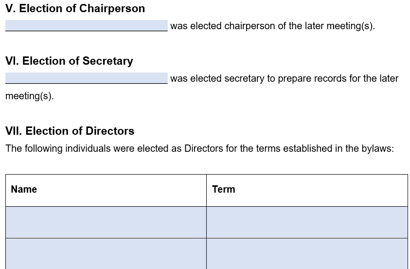 An example of where to detail chairperson, secretary and director information in our template. 