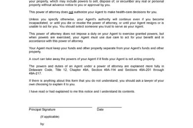 Delaware Limited Power of Attorney Form