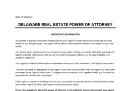 Delaware Real Estate Power of Attorney Form