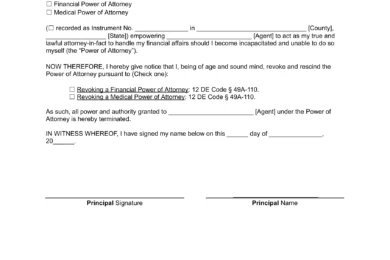 Delaware Revocation Power of Attorney Form