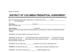 District of Columbia Prenuptial Agreement Template