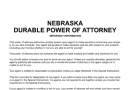 Nebraska Durable Power of Attorney form screenshot