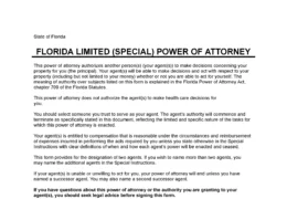 Florida Limited Power of Attorney Form