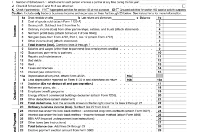 Form 1065 for giving the return of US partnership income