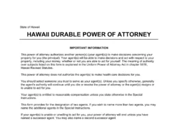 Hawaii Durable Statutory Power of Attorney Form