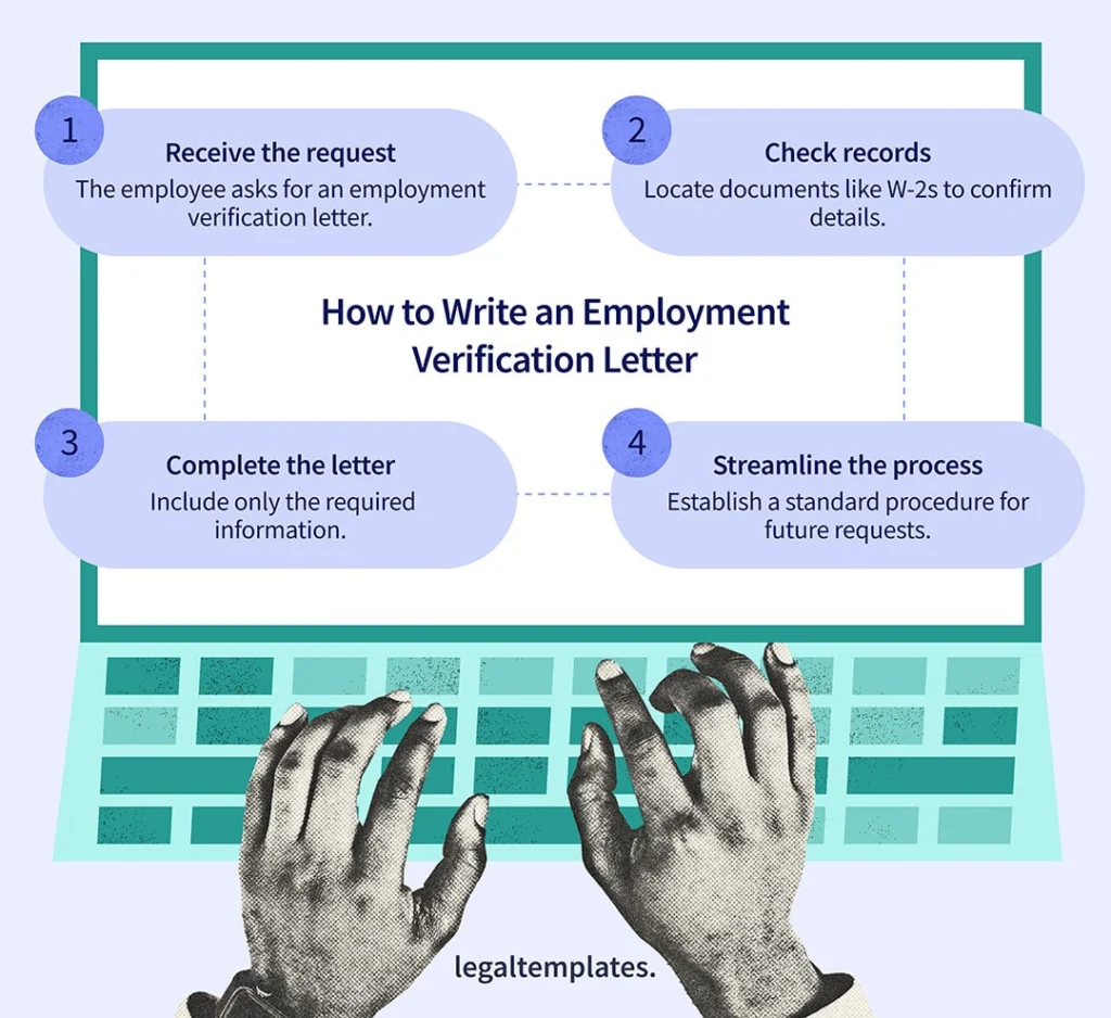 how to write an employment verification letter in four steps infographic.