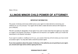 Illinois Minor Child Power of Attorney Form