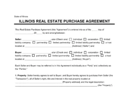 Illinois Real Estate Purchase Agreement Form