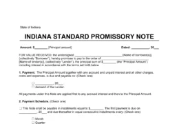 Indiana Standard Promissory Note Template