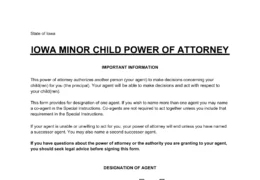 Iowa Minor Child Power of Attorney Form