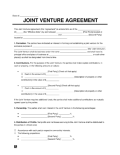 Joint Venture Agreement
