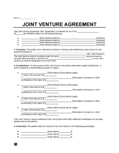 Joint Venture Agreement