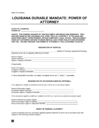 Louisiana Durable Power of Attorney Template