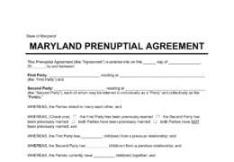 Maryland Prenuptial Agreement Template