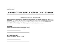 Minnesota Durable Statutory Power of Attorney Form