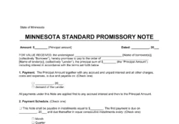 Minnesota Standard Promissory Note Template