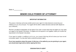 Minor Child Power of Attorney Template