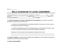 Mold Addendum Template