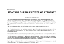 Montana Durable Statutory Power of Attorney Form