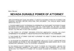 Nevada Durable Statutory Power of Attorney Form