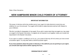 New Hampshire Minor Child Power of Attorney Form