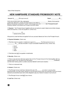 New Hampshire Standard Promissory Note Template