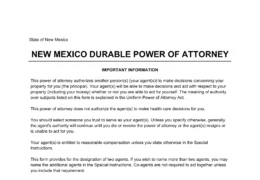 New Mexico Durable Statutory Power of Attorney Form