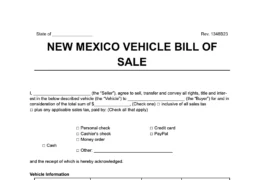 New Mexico vehicle bill of sale