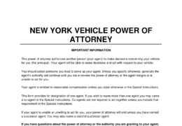 New York Motor Vehicle Power of Attorney Form