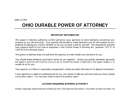 Ohio Durable Statutory Power of Attorney Form