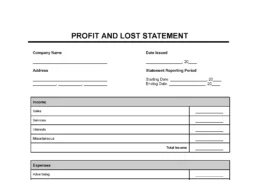 Profit and Loss Statement